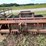 #1297-•-gannon-box-scraper-attachment-image-2