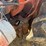 tuff-bilt-tractor-image-24