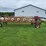 agco-4324-image-2