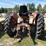 farmall-460-tractor-image-7