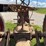 farmall-f-14-image-40