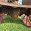 mccormick-deering-10-20-image-60
