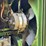 john-deere-4620-image-41