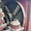 farmall-f-20-image-46