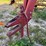 new-holland-258-image-8