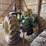john-deere-4020-image-4