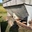 algoma-mixer-wagon-image-5
