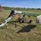 claas-350t-rotary-rake---field-ready-image-1