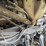diamond-reo-cabover-image-47