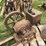 mccormick-m-image-4