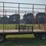 minnesota-metal-kicker-rack,-18-long-x-8'10"-wide,-schwartz-running-gear-
(stored-inside)-image-7