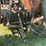 massey-harris-mustang-image-29