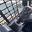 2022-bobcat-t770-image-19