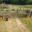 vintage-4-bar-side-delivery-rake-image-4