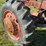 massey-ferguson-97-image-36