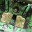 1981-john-deere-8440-image-38