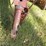 new-holland-852-image-3