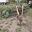 john-deere-894a-image-2