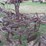 john-deere-2-image-7