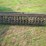 cultipacker,-approx.-9-ft-width,-metal-construction,-single-point-hitch-image-3