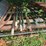 17'-x-6'-x-5'-outdoor-pipe-storage-rack-with-3-shelves,-with-assorted-lumber,-stakes,-and-large-26'-x-6"-pipe-(blue-metal-horses-not-included)-image-5