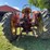 massey-ferguson-44-image-5