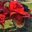 massey-harris-pony-image-18