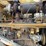 1998-caterpillar-966f-image-20