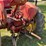 massey-harris-colt-image-23
