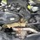 2024-honda-foreman-4x4-atv-image-6