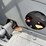 international-8-16-image-22