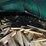 12'-long,-6'-wide-flare-box-and-wagon,-&-hoop-cover-&-tarp,-full-of-scrap-wood,-approximately-2-cord-image-3