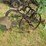 vintage-mc-cormick--sulkey-plow-image-3
