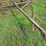 kovar-3-section,-17'-spring-tine-drag,-image-4