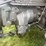 massey-ferguson-97-image-73