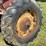 massey-harris-mustang-image-20