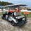 2025-icon-electric-cart-image-4