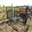 calf-catcher-image-12
