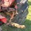 massey-ferguson-444-image-32