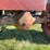 massey-ferguson-97-image-45