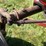 massey-ferguson-444-image-15