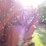 new-holland-852-image-15