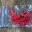1/16-ih-1066-2009-iowa-ffa-nib-sm-image-18