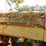 case-800-image-6
