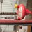 (2)-ziggity-systems-hanging-chicken-watering-systems-image-3
