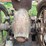 mccormick-m-image-5