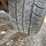 2000-dodge-grand-caravan-image-20