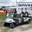 2025-icon-electric-cart-image-1