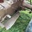 massey-ferguson-50-image-39