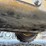 2008-deere-320-image-45